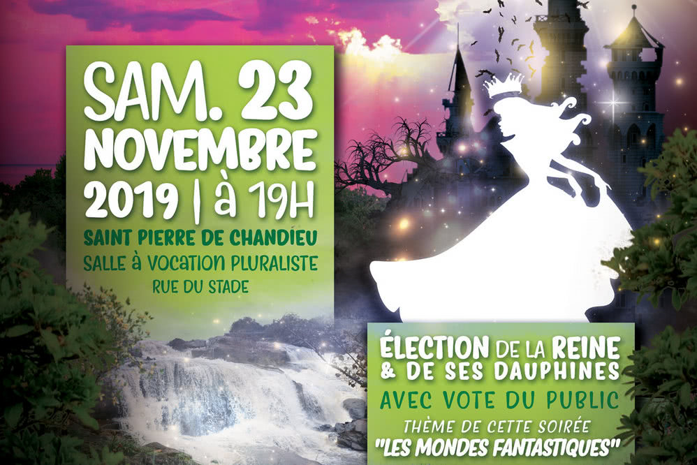 191123 election miss 52